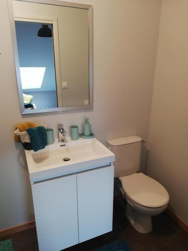 Bathroom, Gîte du capitaine, Haute-Marne