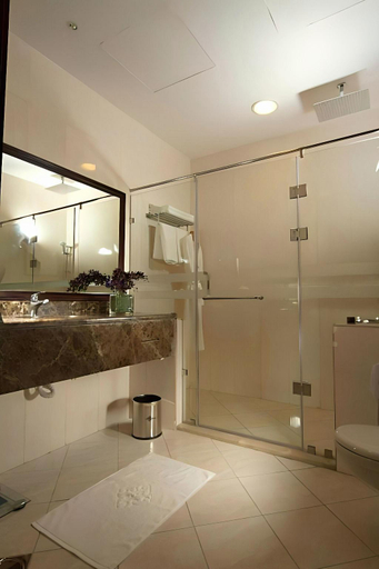Bathroom 4, Zara Continental Hotel, Al Khobar