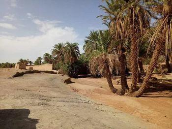 Others 4, Sahara Peace camp, Ouarzazate