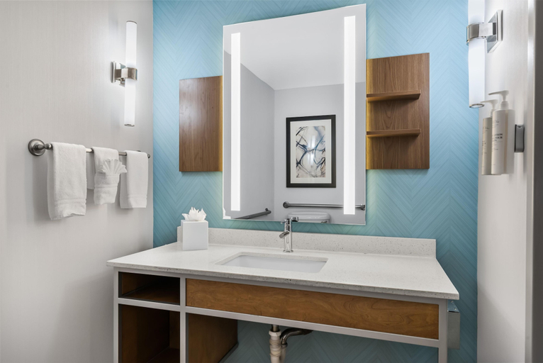 Bathroom 4, Hilton Garden Inn Atlanta Marietta, Cobb