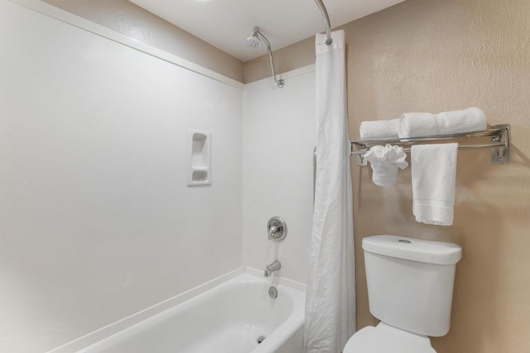 Bathroom 3, SureStay by Best Western Lakeview, Lake