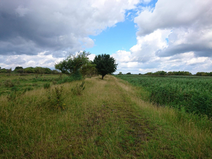 Others 4, 7 Person Holiday Home in Stege-by Traum, Vordingborg