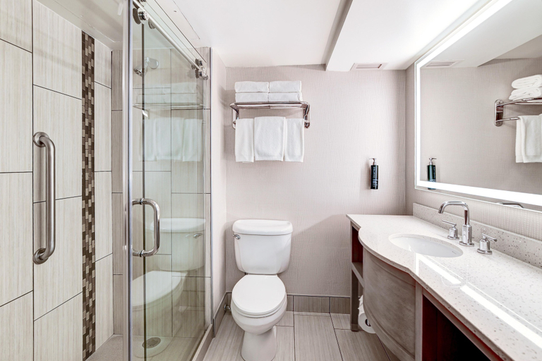 Bathroom 4, DoubleTree by Hilton Madison Downtown, Dane