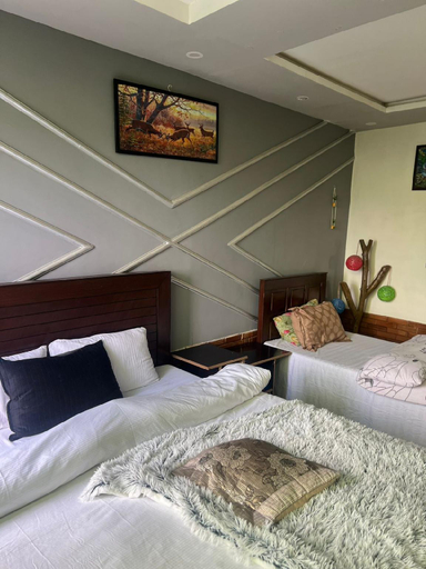 Others 4, Nathigali green view resort by roomy, Hazara