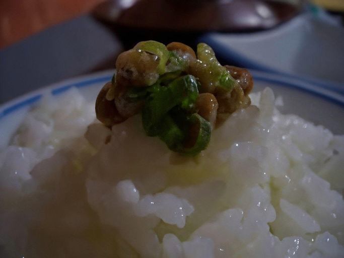 Food & Drinks 5, Hagakurekan, Hita