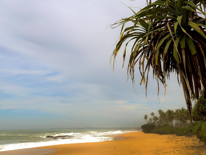 Others 3, Turtle Nest, Tangalle