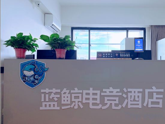 Others 5, lue Whale Esports (Greenland Central Plaza Store, Bengbu), Bengbu