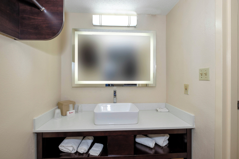Bathroom 4, Red Roof Inn Gadsden, Etowah