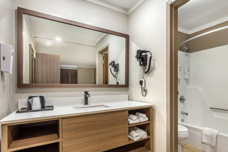 Bathroom 3, Red Roof Inn Raleigh Northeast - Downtown, Wake