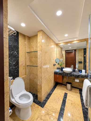 Bathroom 3, Hotel Airport View, Delhi
