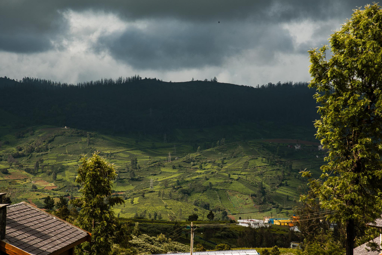 Others 3, Auravantara Retreats, The Nilgiris