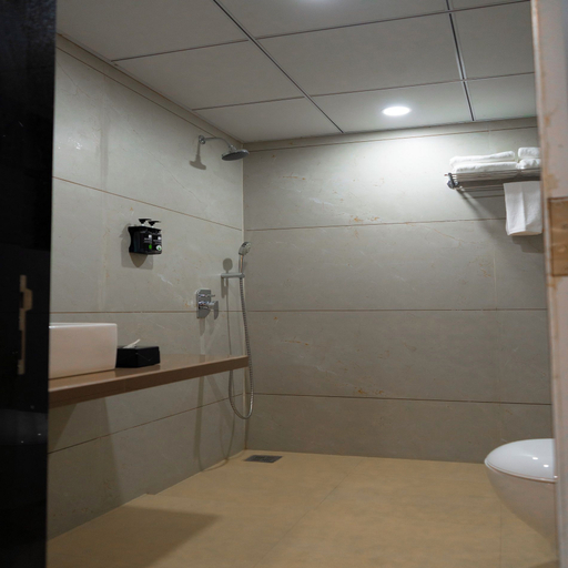 Others 4, Hotel Serenova Pune, Pune