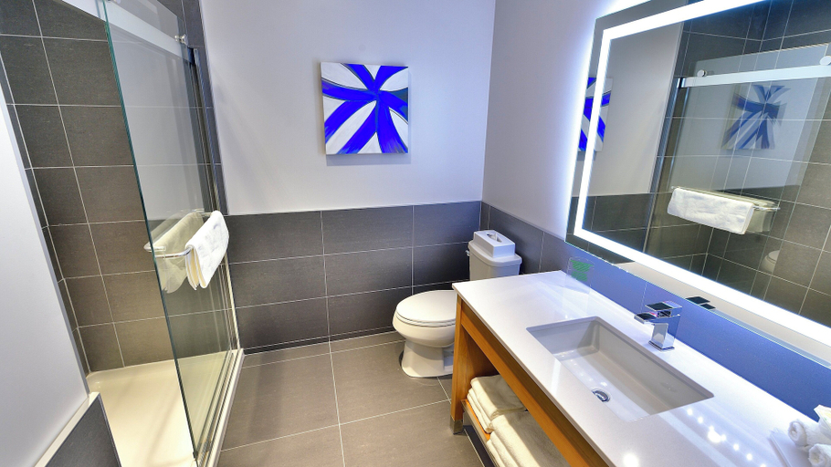Bathroom 4, Holiday Inn Express & Suites VAUDREUIL - DORION by IHG, Vaudreuil-Soulanges