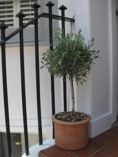 Others 5, Aquarium Guest House, Brighton and Hove