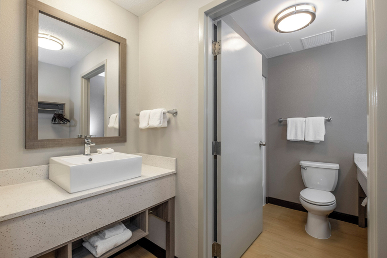 Bathroom 4, Red Roof Inn PLUS+ Boston - Mansfield/ Foxboro, Bristol