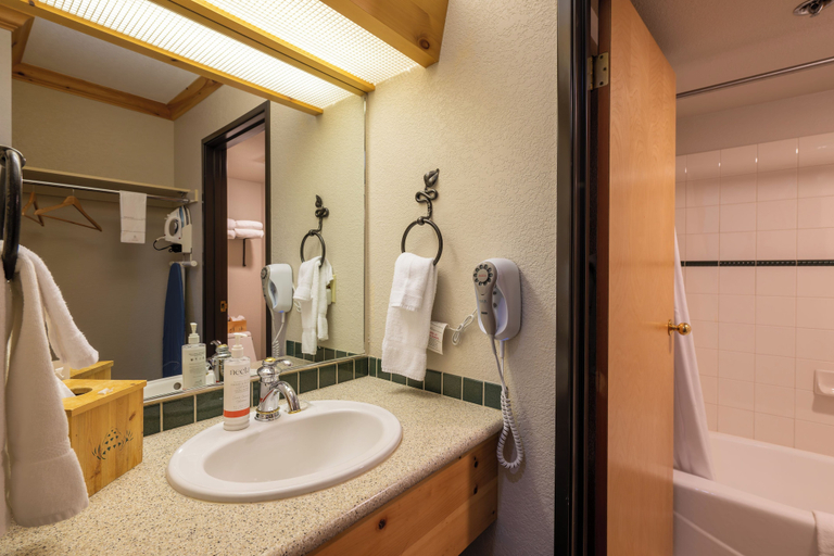 Bathroom 3, Selkirk Lodge, Bonner