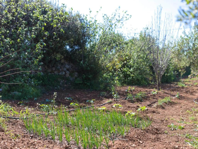 Others 3, Villa in Sfakaki with Pool near Beach, Crete