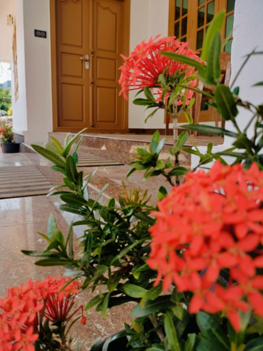 Others 5, Maverick Holidays Inn Vagamon Nakshatra Family Villa, Idukki