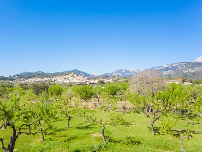 Others 2, Ses Planes (ca Na Faustina) - Villa With Pool, Baleares