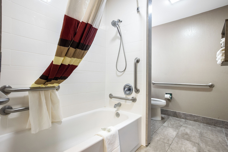 Bathroom 3, Red Roof Inn PLUS+ & Suites Savannah - I-95, Chatham