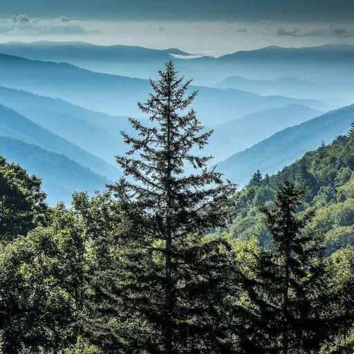 Others 4, Cozy Cabin Escape 7mins to Pigeon Forge Hot tub, Sevier