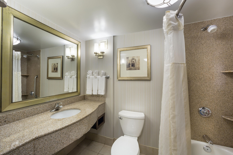 Bathroom 4, Hilton Garden Inn Hampton Coliseum Central, Hampton