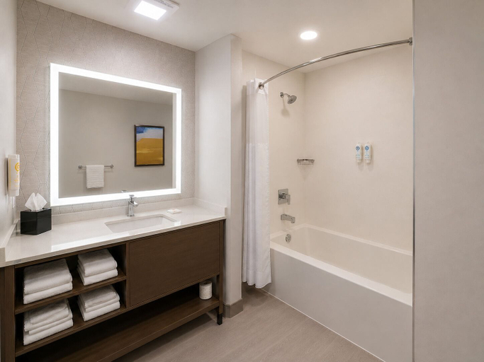 Bathroom 4, Comfort Inn & Suites, Okanagan-Similkameen