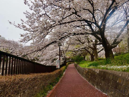 Others 5, Takinoen | Standalone House for 7 | 12 mins Train to Ueno, Kita