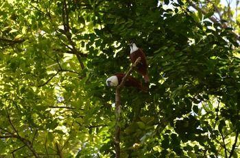 Others 5, El Bosque Trails & Eco-Lodge, Puntarenas