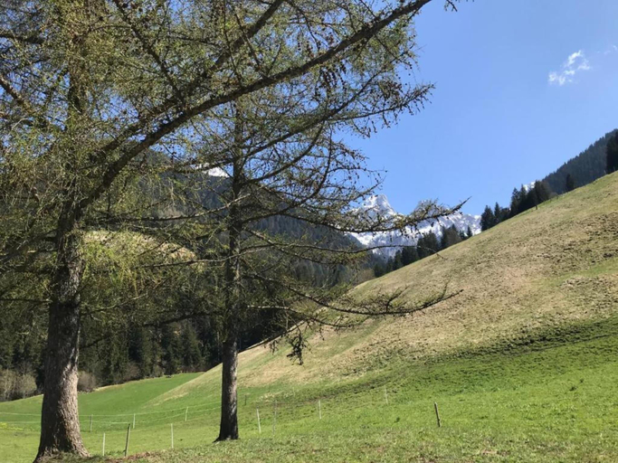 Others 5, Chalet in Château-d’Œx near Gstaad Ski Resort, Pays-d'Enhaut