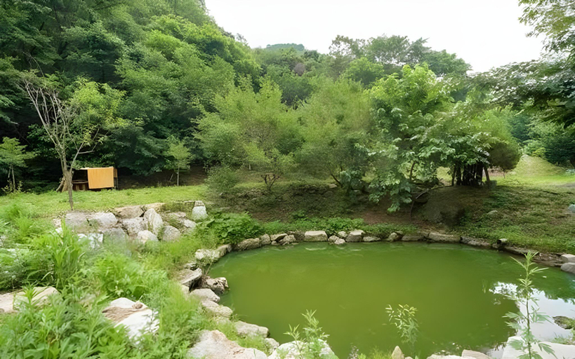 Others 2, Gapyeong Bellita Spa Pension, Gapyeong