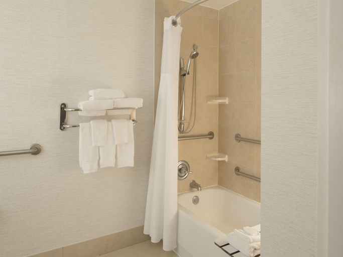 Bathroom 4, Hilton Garden Inn Austin Downtown, Travis