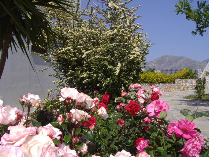 Others 4, Villa in Lefkogia with Private Pool, Crete
