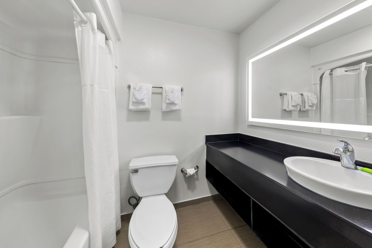 Bathroom 4, Quality Inn Fishers - Indianapolis, Hamilton