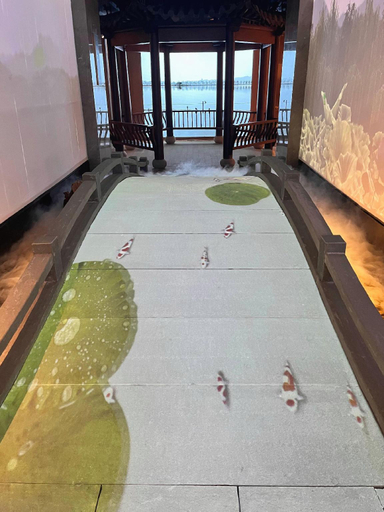 Sport & Beauty 5, Hangzhou Qiyue Westlake Culture Hotel, Hangzhou