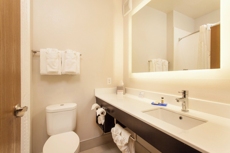 Bathroom 3, Holiday Inn Express & Suites SANTA FE, Santa Fe