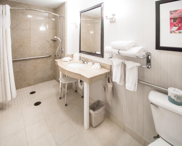 Bathroom 4, Hilton Garden Inn Avondale, Maricopa