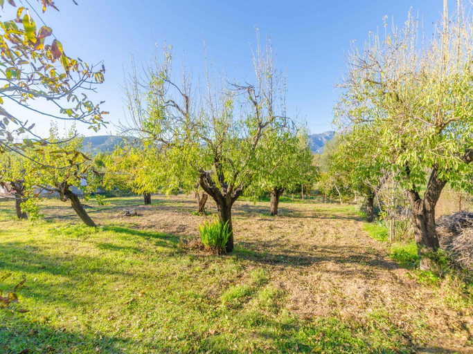 Others 4, Can Reure (can Paris) - Villa With Private Pool, Baleares