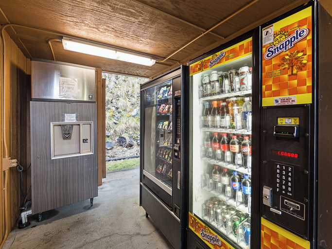 Food & Drinks, Motel 6 Gold Beach, OR, Curry