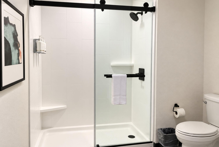 Others 5, La Quinta Inn and Suites by Wyndham Central McKinney, Collin