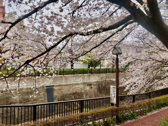 Others 2, Takinoen | Standalone House for 7 | 12 mins Train to Ueno, Kita