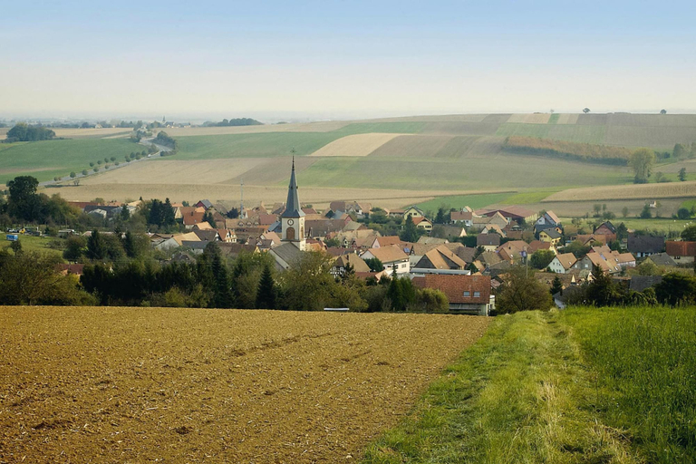 Others 4, Flat in Alsace Near Vosges Nature Park, Bas-Rhin