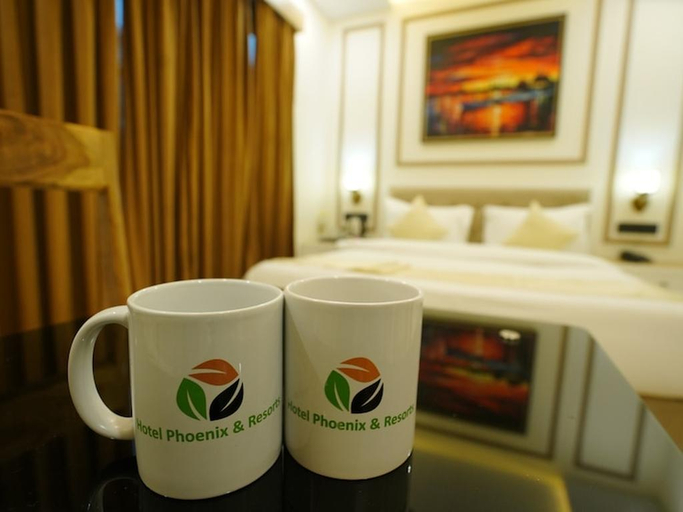 Food & Drinks 5, The Hotel Phoenix, Indore