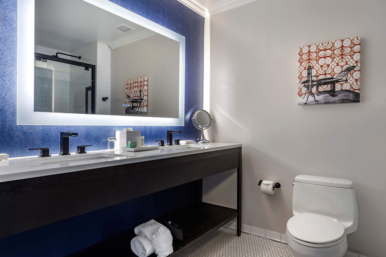 Bathroom 4, Hilton Vacation Club Hotel Blake Chicago, Cook