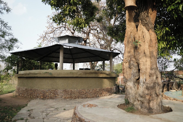 Others 5, Bhuvan Aarogyam Vanvaasi, Chhatarpur