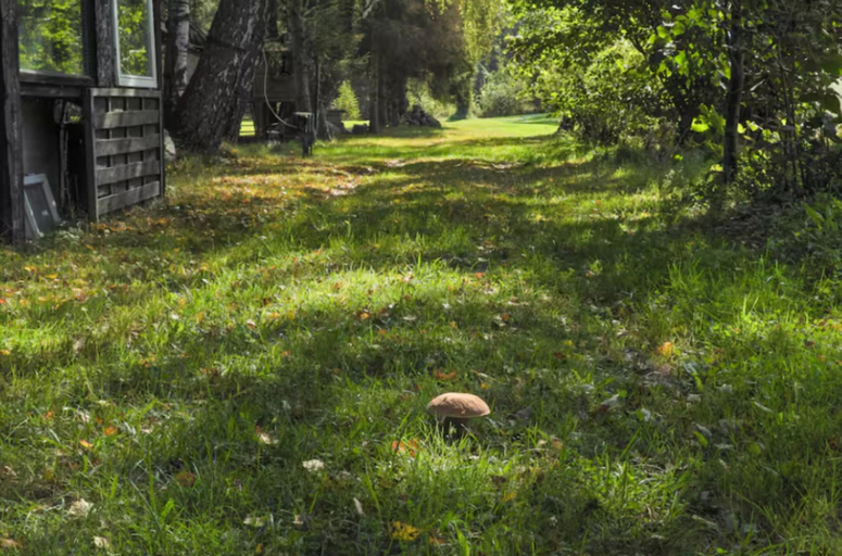 Others 5, A Holiday Home in an Oasis of Peace and Quiet, Sławno