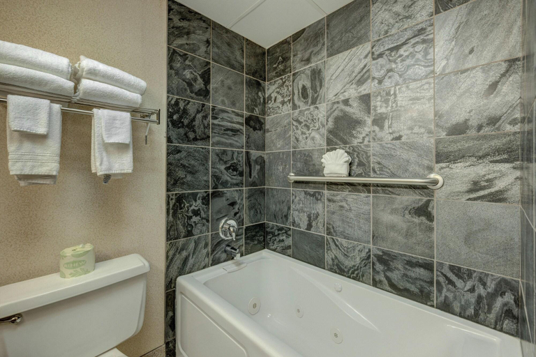 Bathroom 5, Crowne Plaza Milan NoLo by IHG, Milano