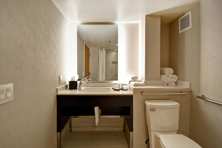 Bathroom 5, Embassy Suites by Hilton Raleigh Durham Research Triangle, Wake