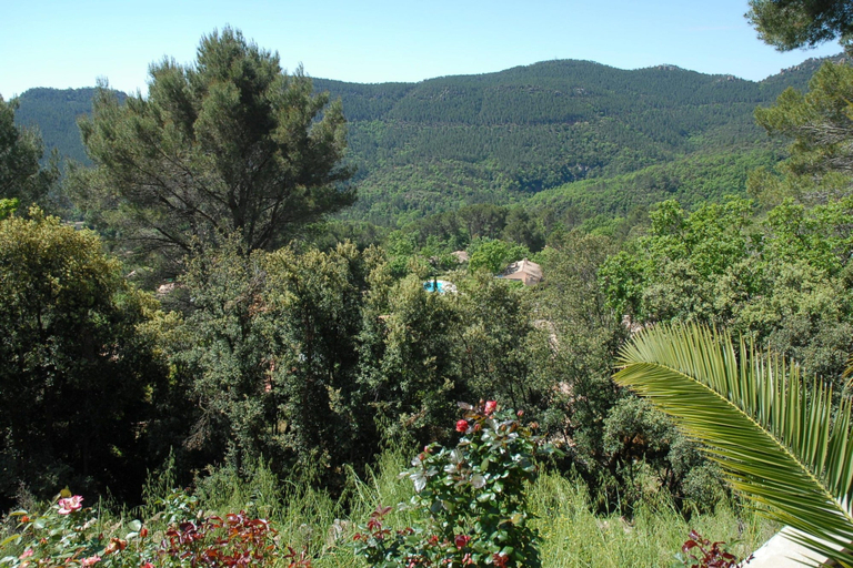 Others 4, Holiday Home With Pool and Natural View, Var