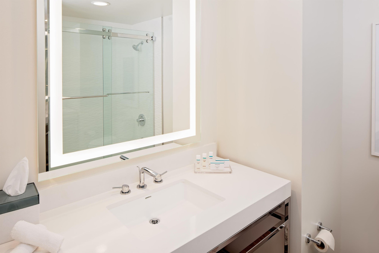 Bathroom 5, Embassy Suites by Hilton San Diego Bay Downtown, San Diego